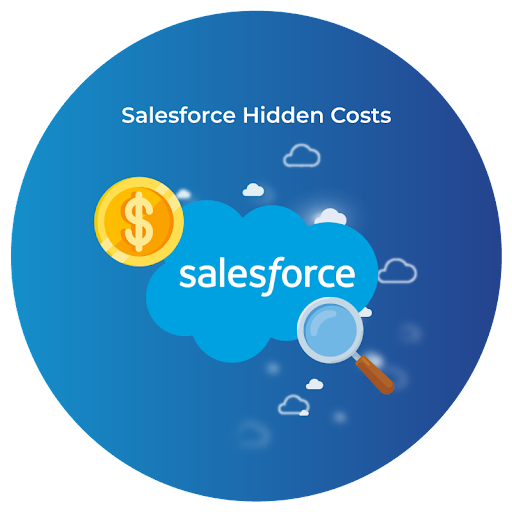 Salesforce Hidden Cost