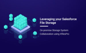 Leveraging Your Salesforce File Storage: On-Premise Storage System Collaboration Using XfilesPro