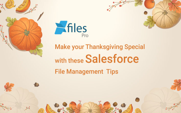 Make your Thanksgiving Special with these Salesforce File Management Tips