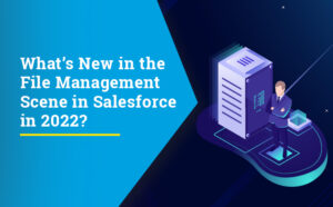 Top Seven Factors That Differentiate XfilesPro From Other File Management Solutions for Salesforce